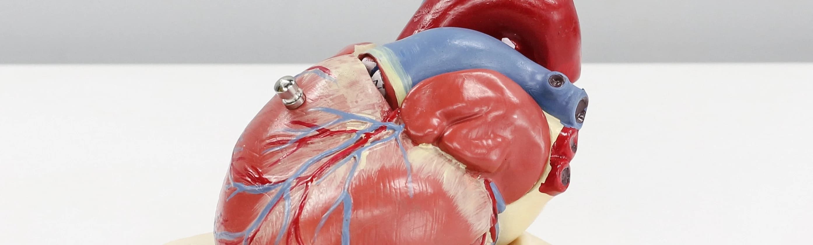 Penyakit Kardiovaskular